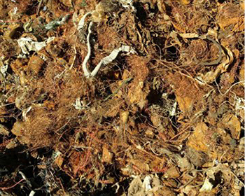 Shredded Steel Scrap